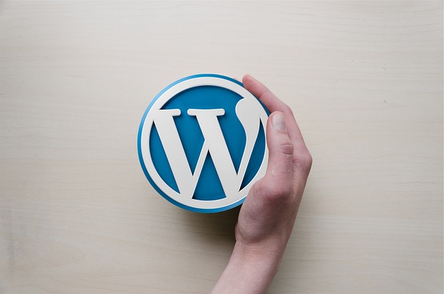 Content-Management-System: WordPress WordPress